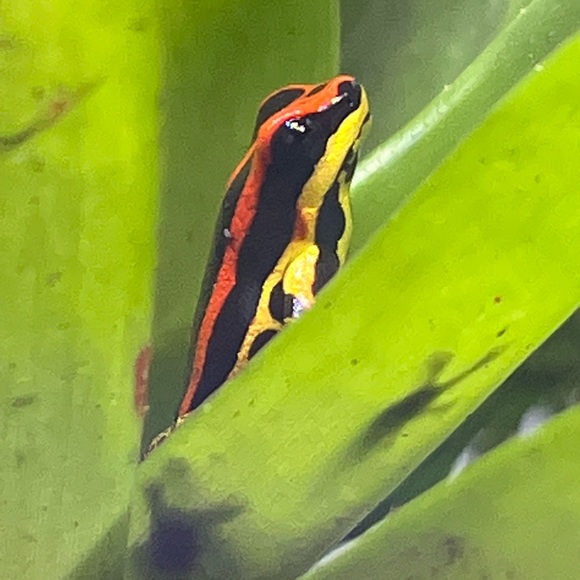 Meet your Posher, Jenna - Picture 6 of 6